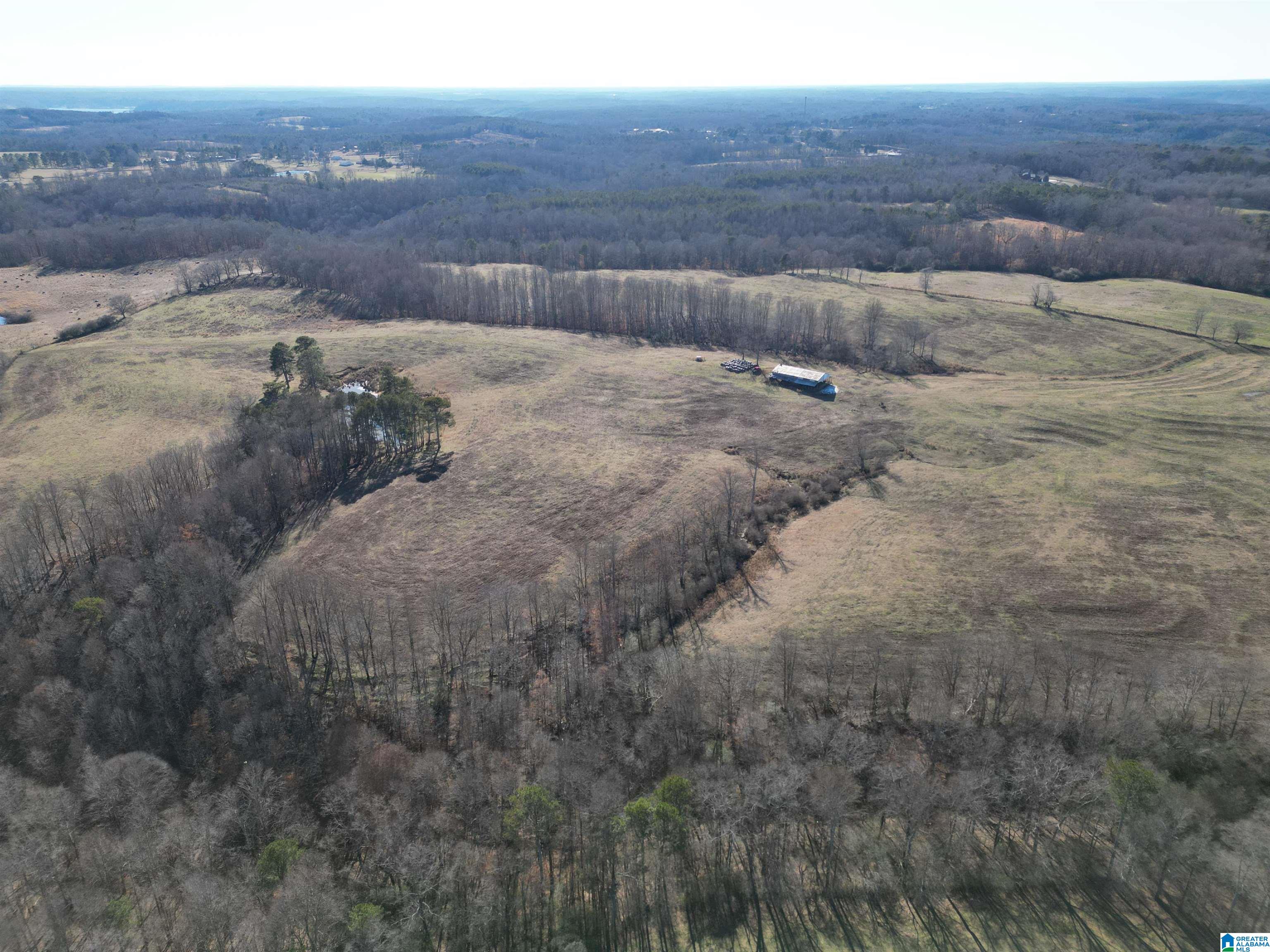 682 County Road 832 Logan, AL 35098 - Photo 13 of 48
