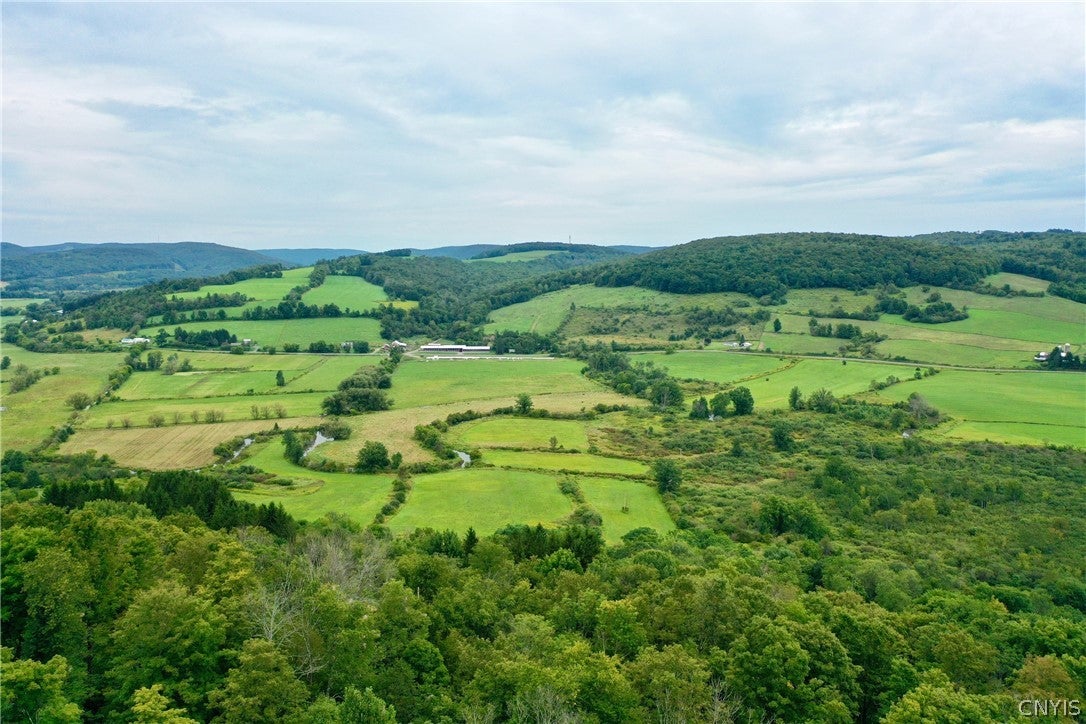 0 West Cheningo Road Truxton, NY 13158 - Photo 9 of 9 Gallery Image 9