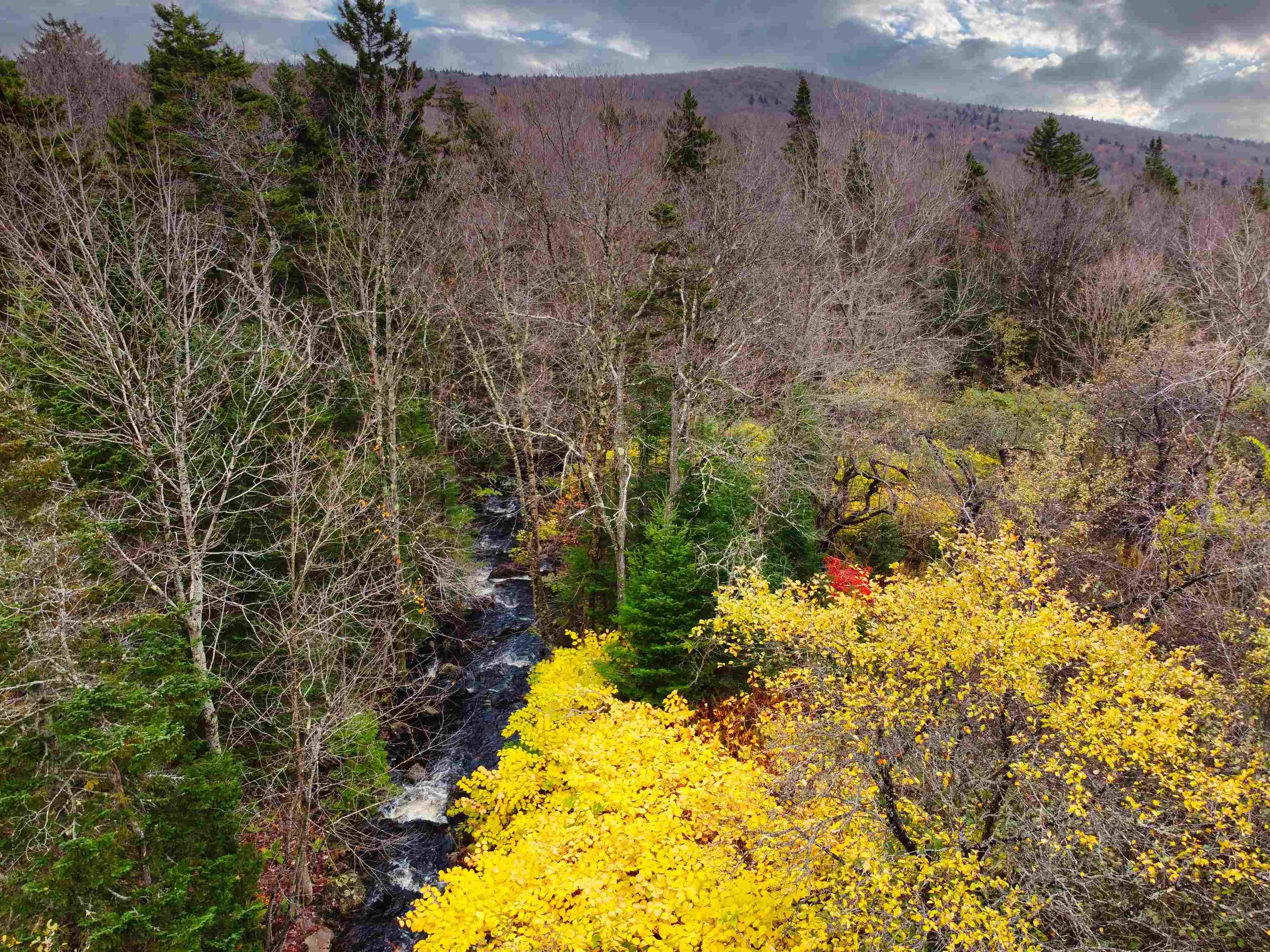 South Stream Road Bennington, VT 05201 - Photo 4 of 9