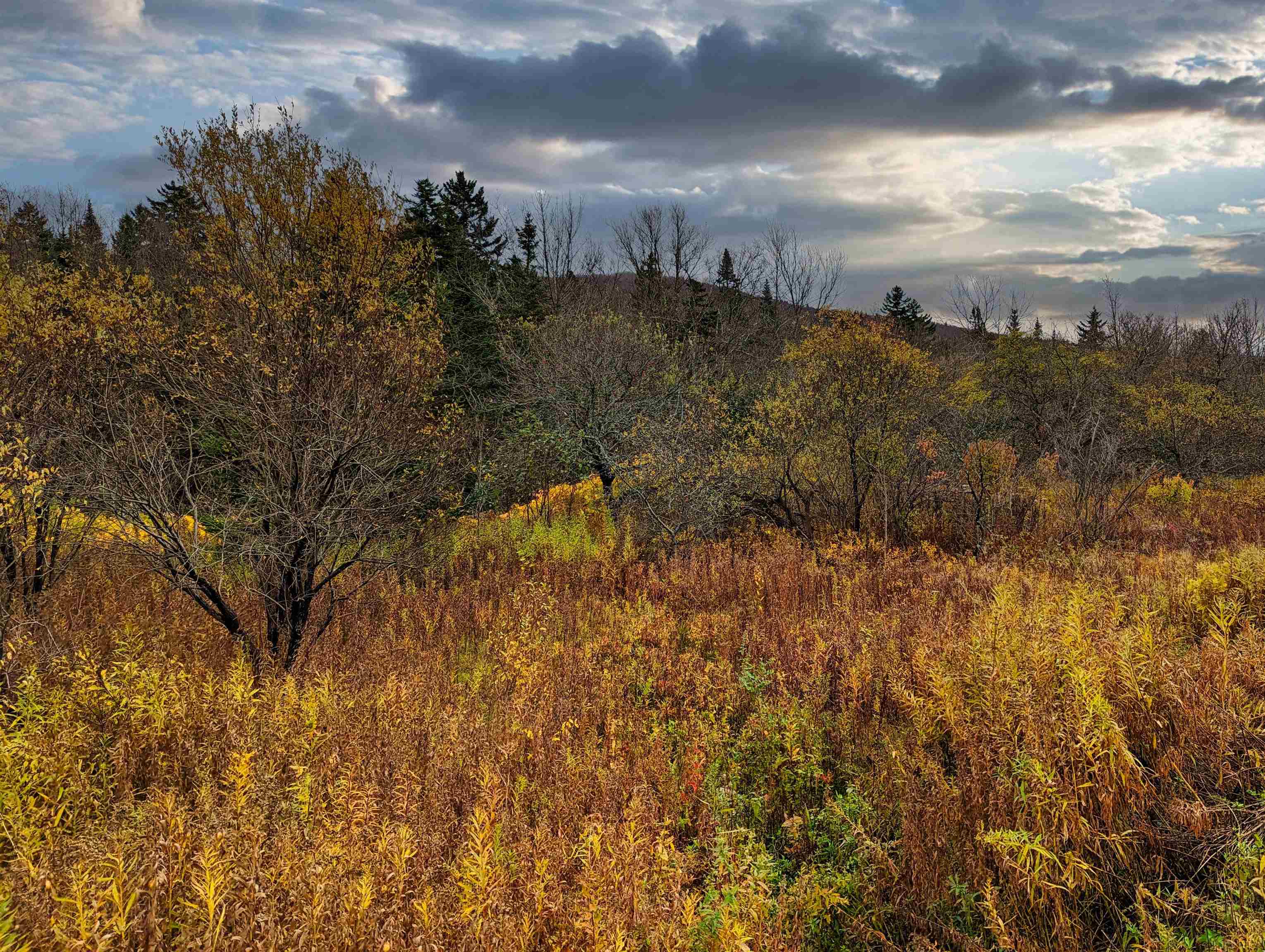 South Stream Road Bennington, VT 05201 - Photo 5 of 9