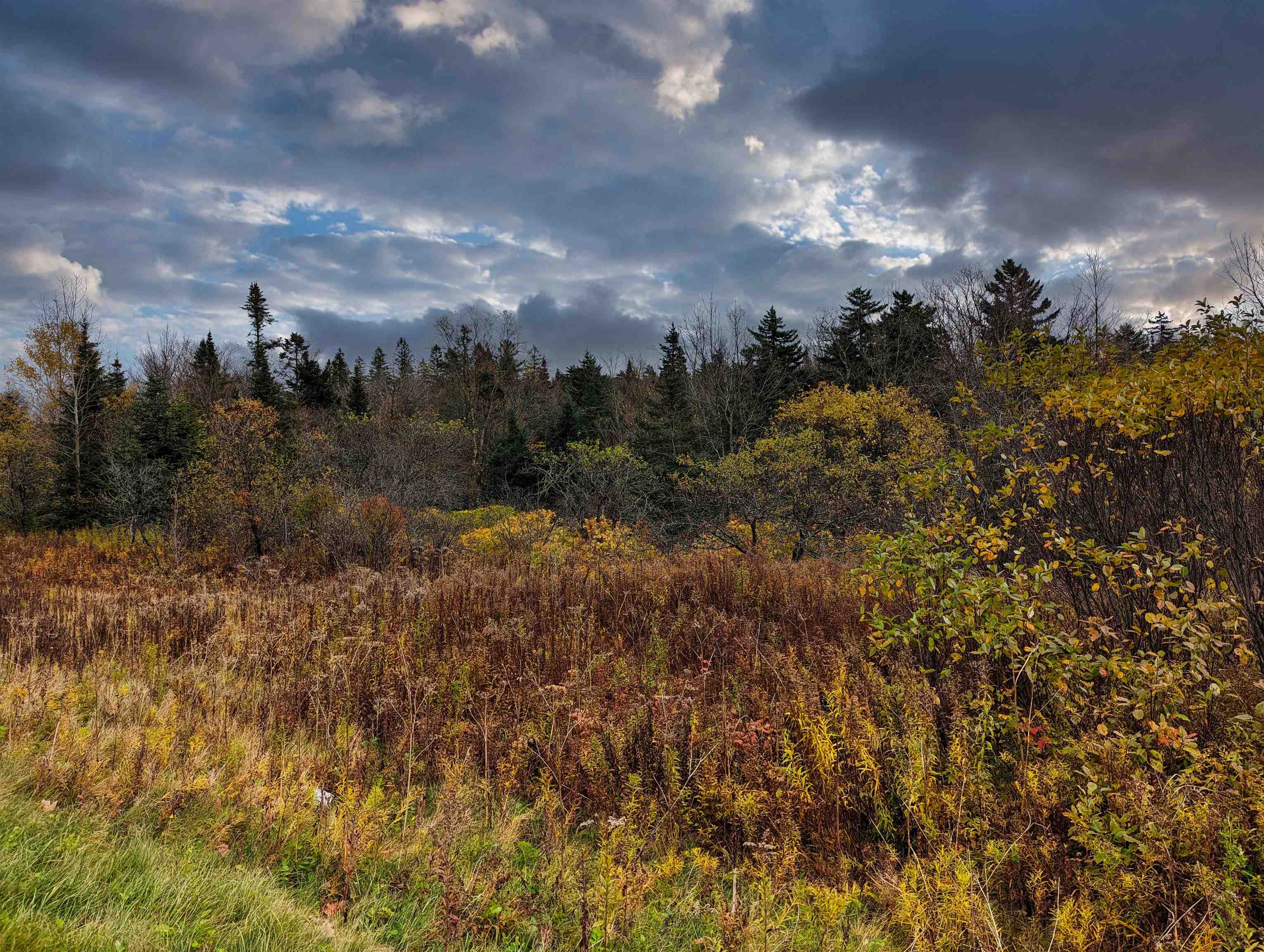 South Stream Road Bennington, VT 05201 - Photo 7 of 9