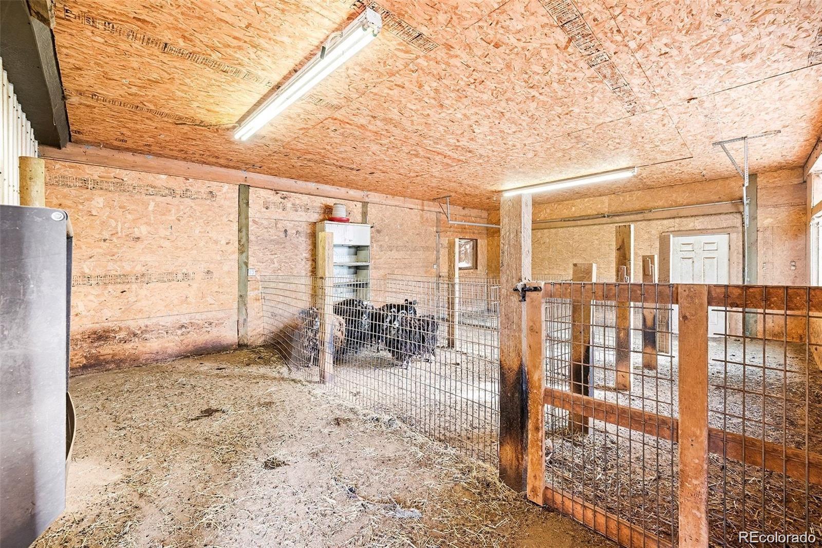 6094 Pyrenees Trail Golden, CO 80403 - Photo 18 of 23