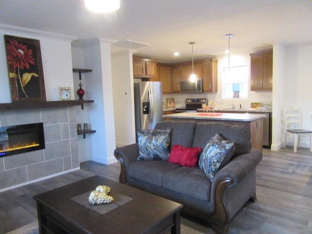 222 Holly Berry Way Fruita, CO 81521 - Photo 12 of 23 a living room with stainless steel appliances kitchen island granite countertop furniture and a fireplace