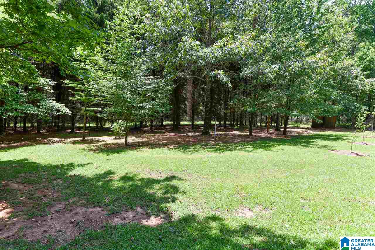 5679 South Shades Crest Road Bessemer, AL 35022 - Photo 6 of 47