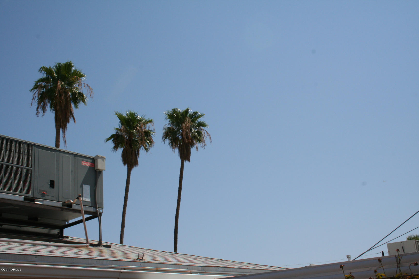 3231 East Almeria Road Phoenix, AZ 85008 - Photo 24 of 31 roof3