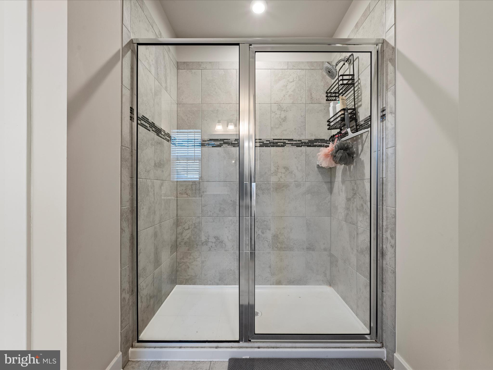 107 Interlace Way Stephenson, VA 22656 - Photo 41 of 76 Primary Bathroom