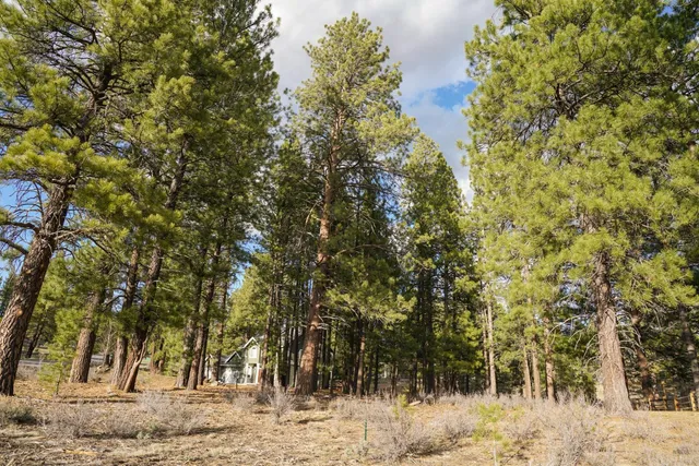 a view of a yard covered with snow