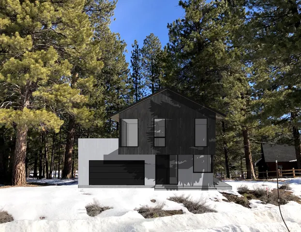 a view of a yard with plants and trees