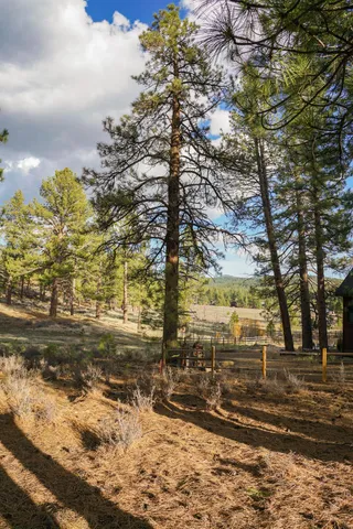 a view of outdoor space with lots of trees