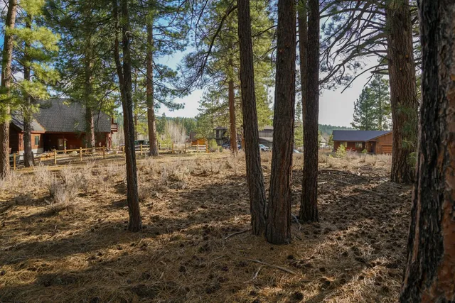 a view of a street with houses