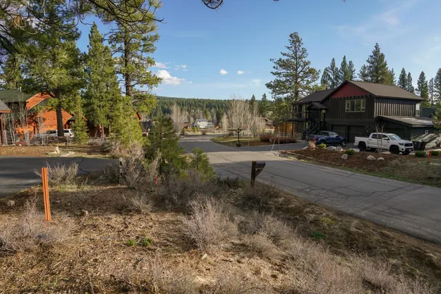 a view of a backyard with large trees