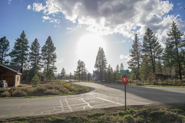 a view of outdoor space and tree