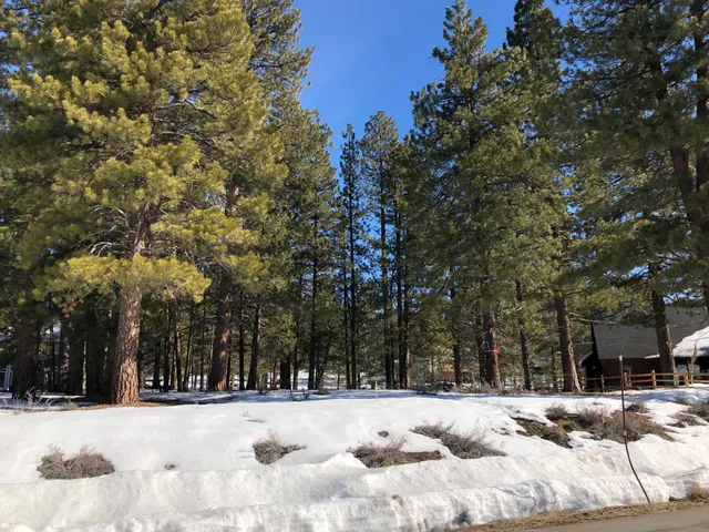 a view of a snow of a yard