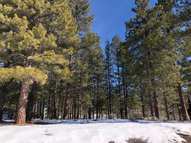 a view of a yard with snow on the road