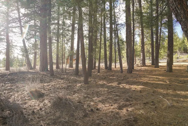 a view of outdoor space with trees