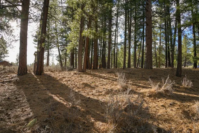 a view of a house with a yard covered in snow
