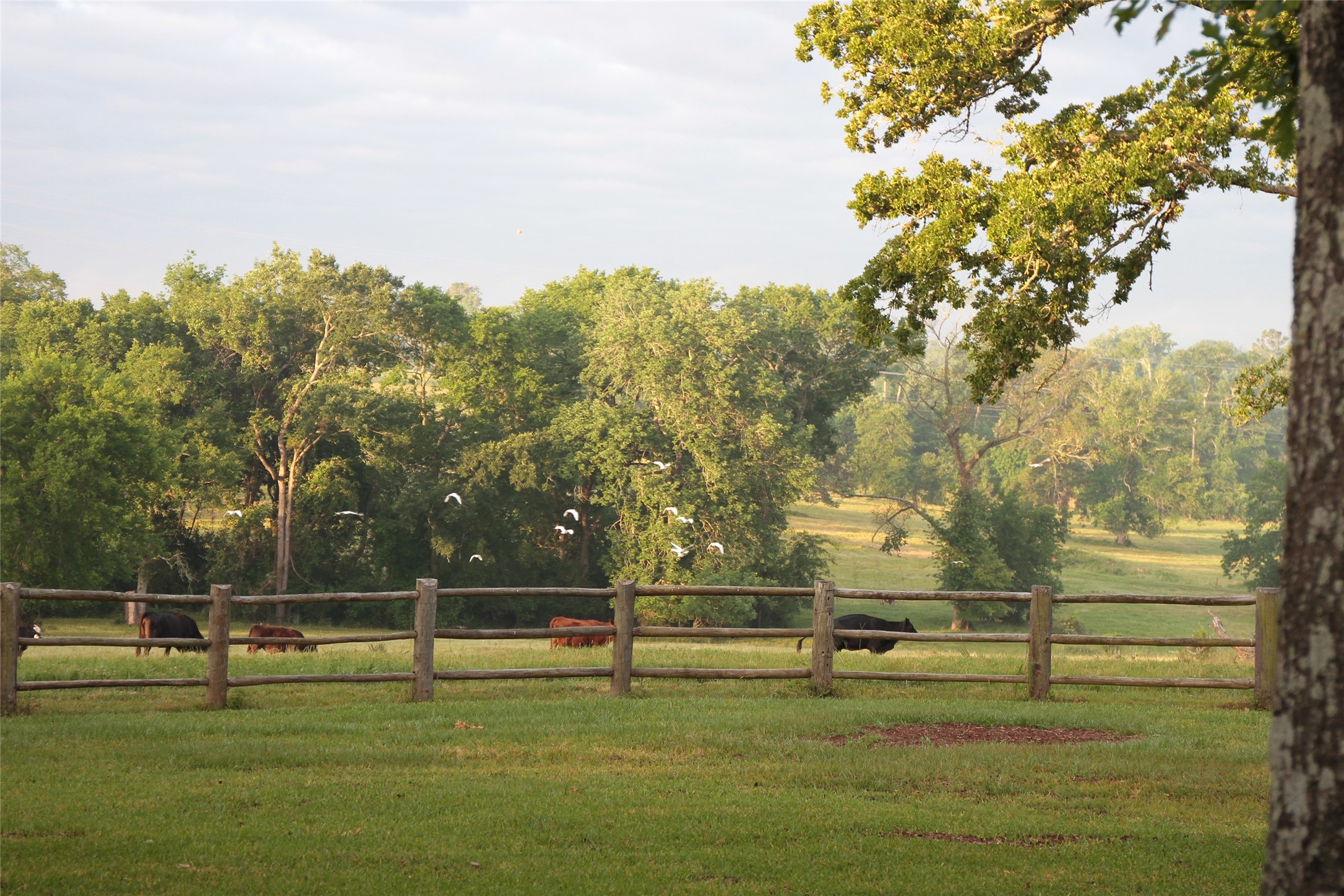 3920 Spring Branch Road Montgomery, TX 77316 - Photo 26 of 35 Gallery Image 26