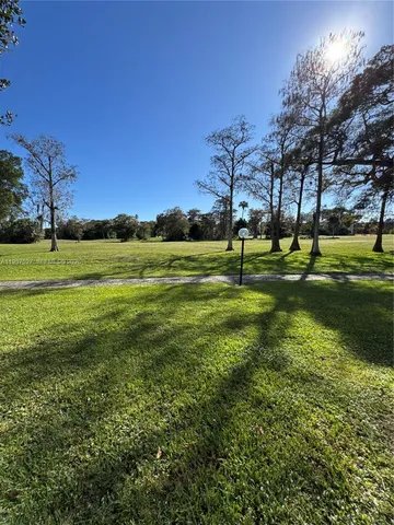 a view of a park with large trees