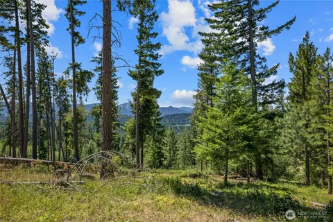 $895,000 | 4 Red Sky Way, Ronald, WA 98940