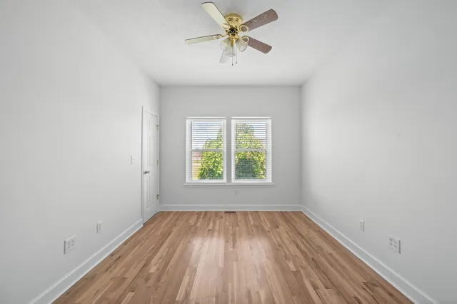 a backyard of a house with plants and large tree