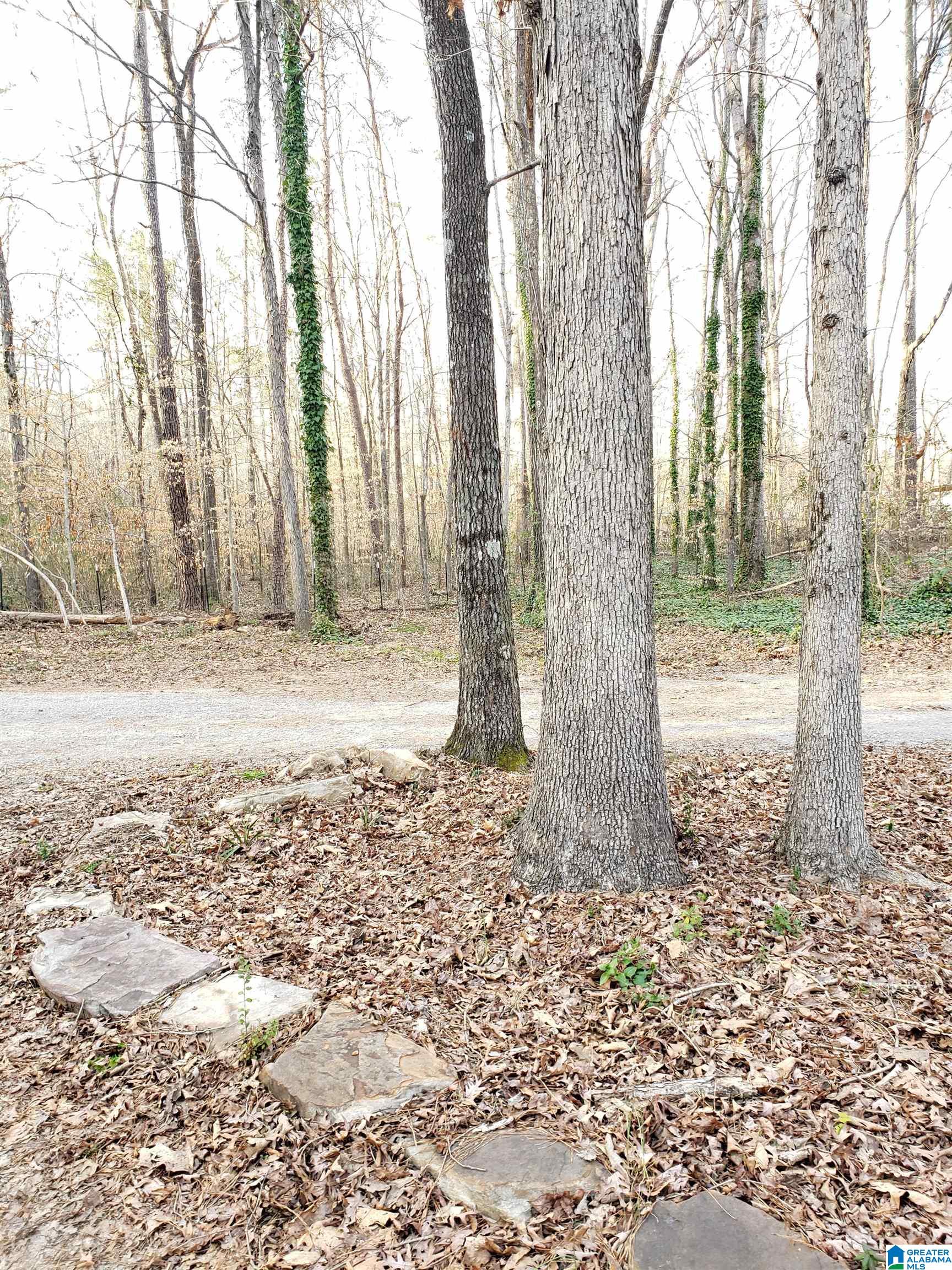 90 Walkers Gap Road Springville, AL 35146 - Photo 35 of 48
