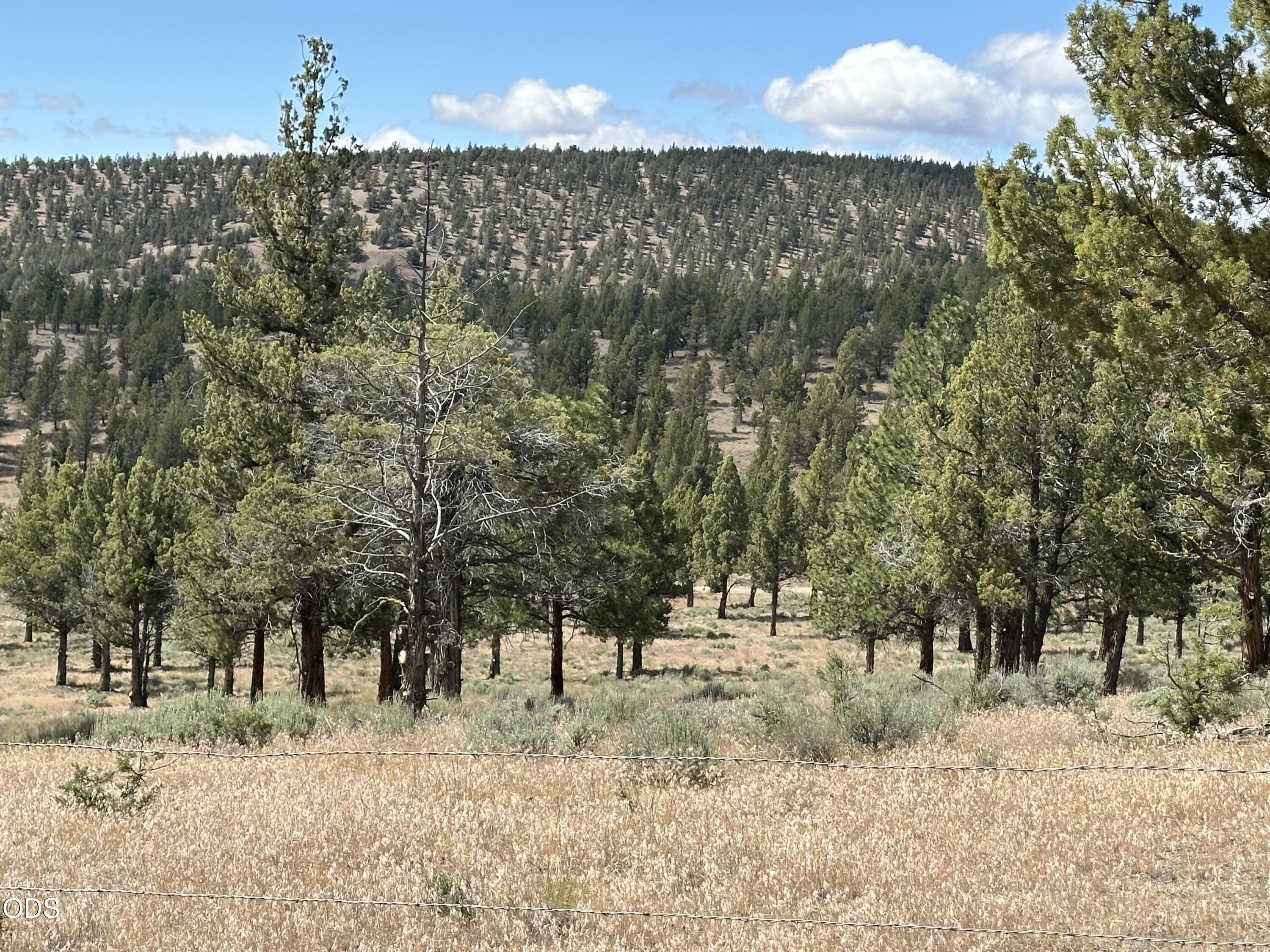 4705 Wittmer Road Prineville, OR 97754 - Photo 32 of 45