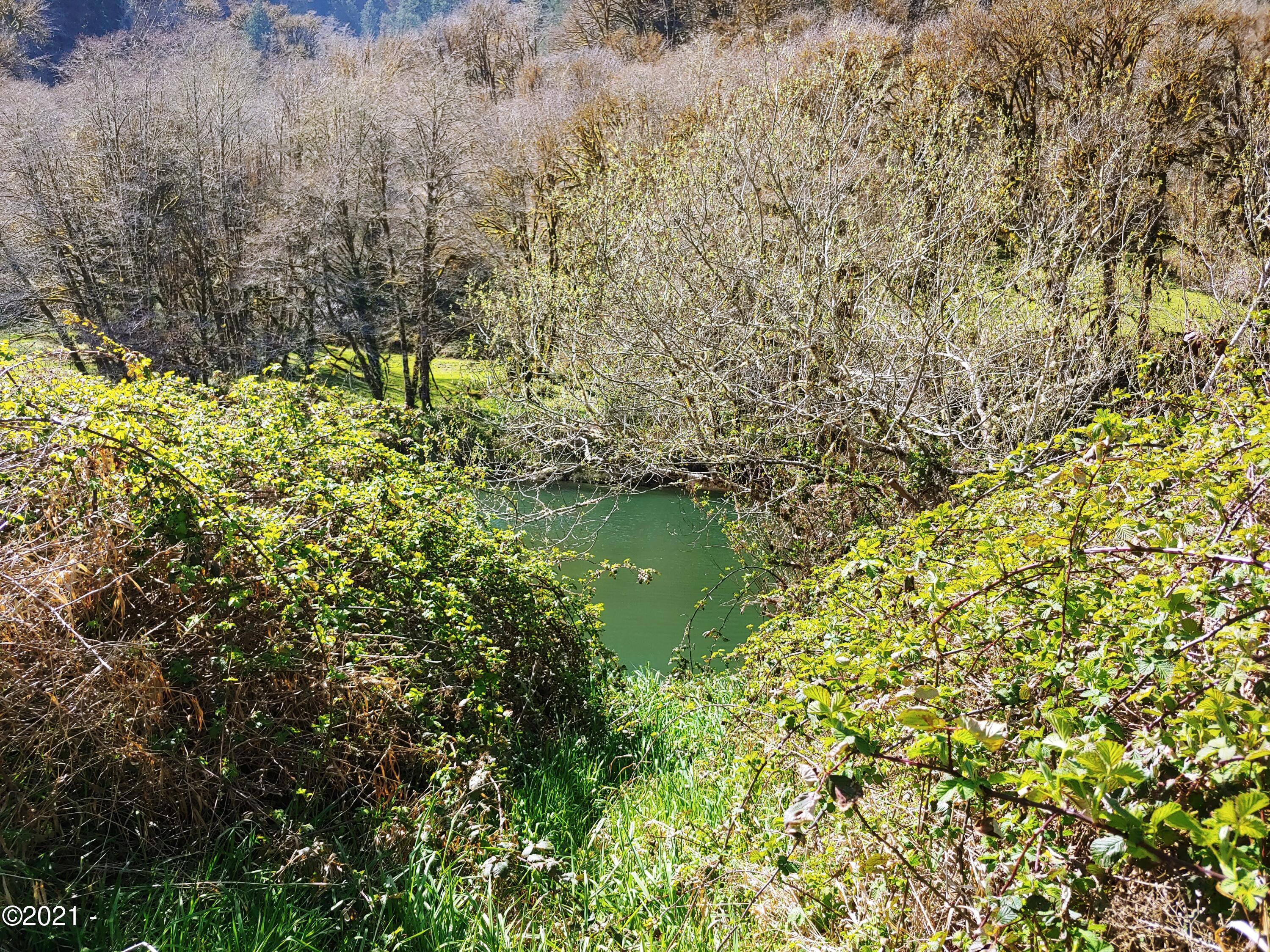 734 Little Switzerland Road Tidewater, OR 97390 - Photo 13 of 29 20210401_143044