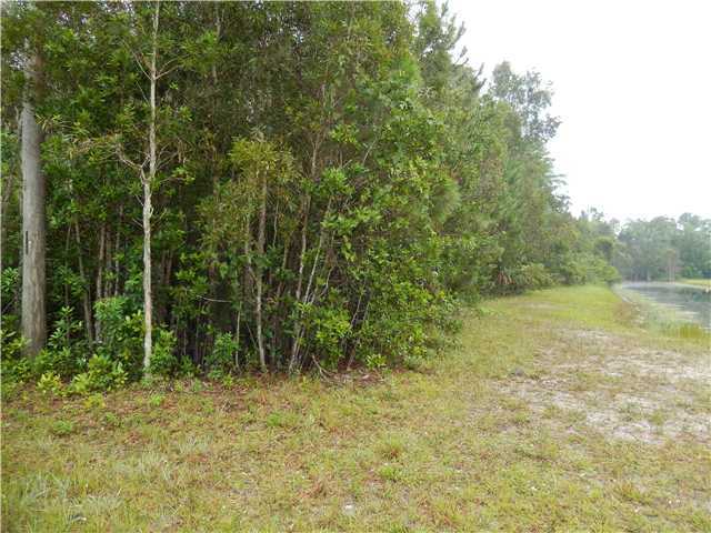 6172 Homeland Road Lake Worth, FL 33449 - Photo 4 of 4 Additional Photo