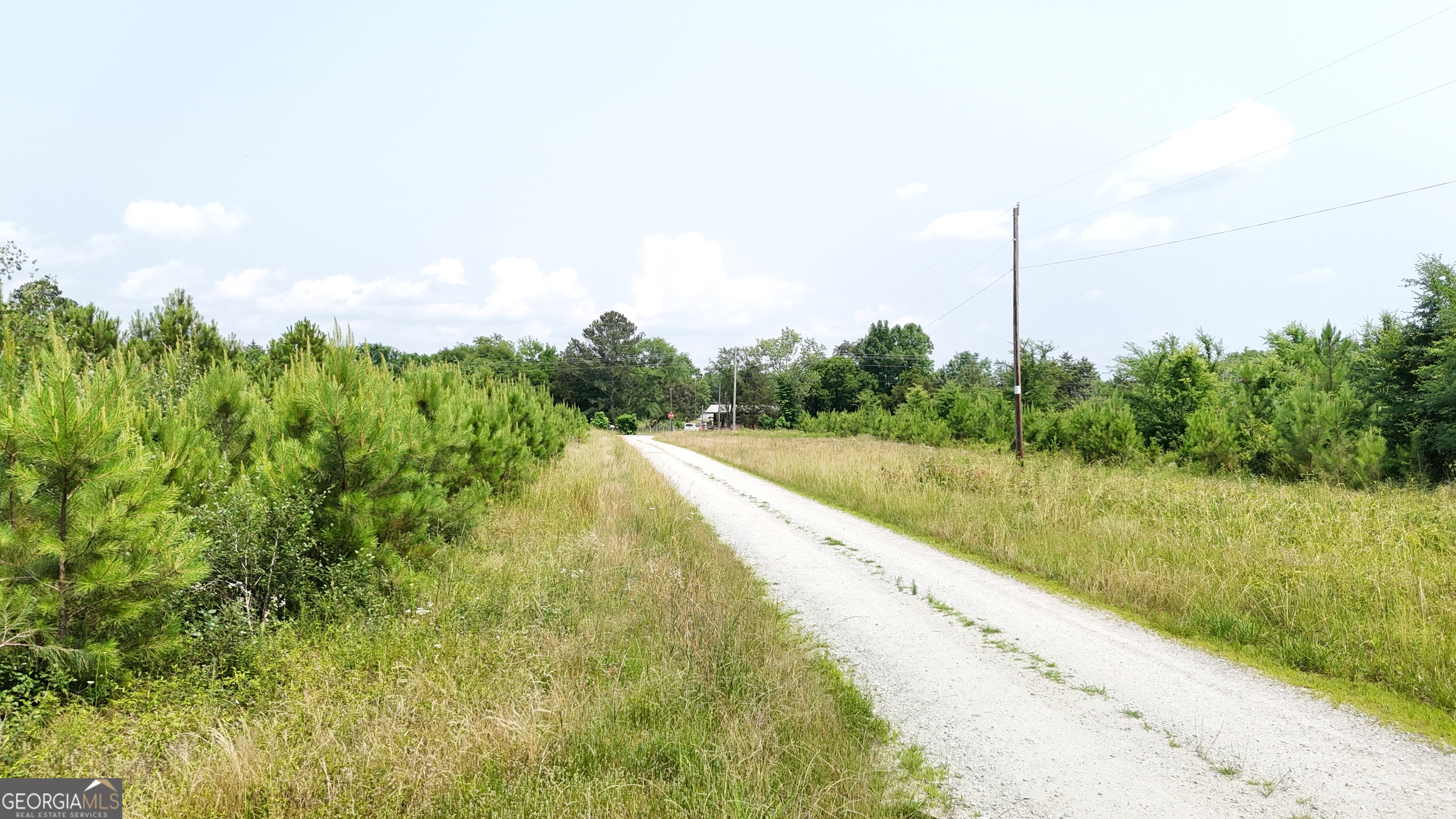 0 Pearl Mill Road Elberton, GA 30635 - Photo 3 of 27
