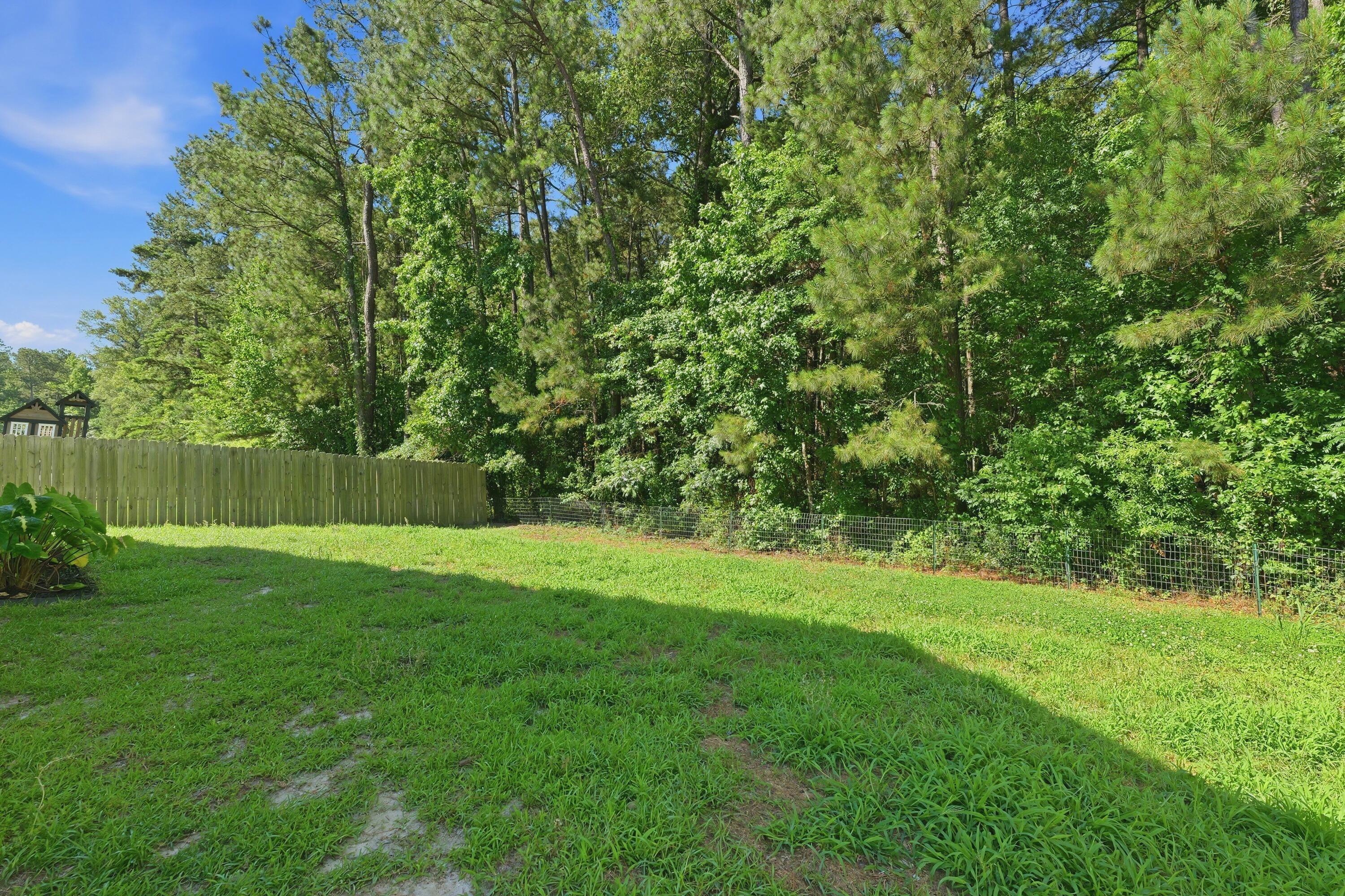 559 Abigail Street Moncks Corner, SC 29461 - Photo 42 of 47