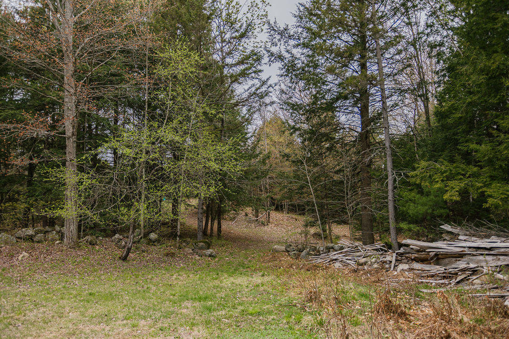 1124 Main Street Jay, ME 04239 - Photo 56 of 69 taylor-kaminsky-photo-56