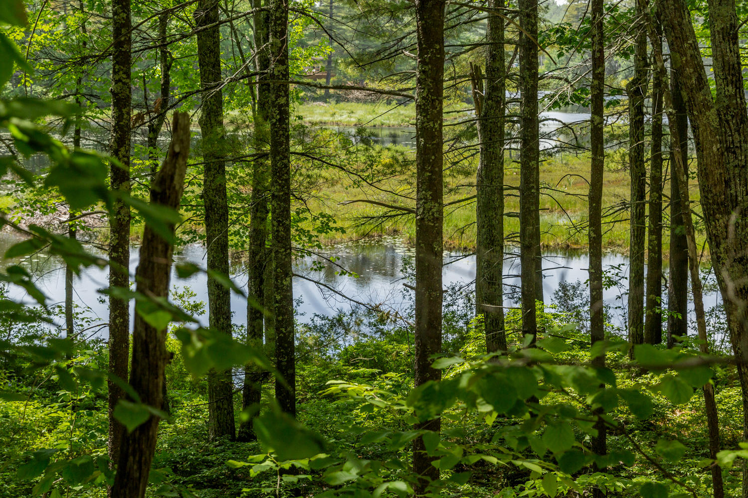 18 Twin Pines Road Raymond, ME 04071 - Photo 52 of 57 201901919HL-71090