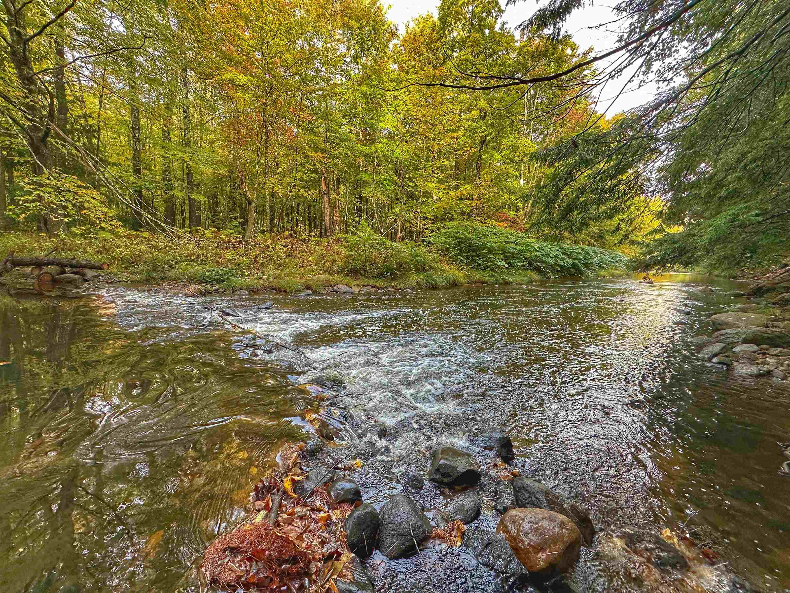 106 Pollards Mills Road Newport, NH 03773 - Photo 6 of 36