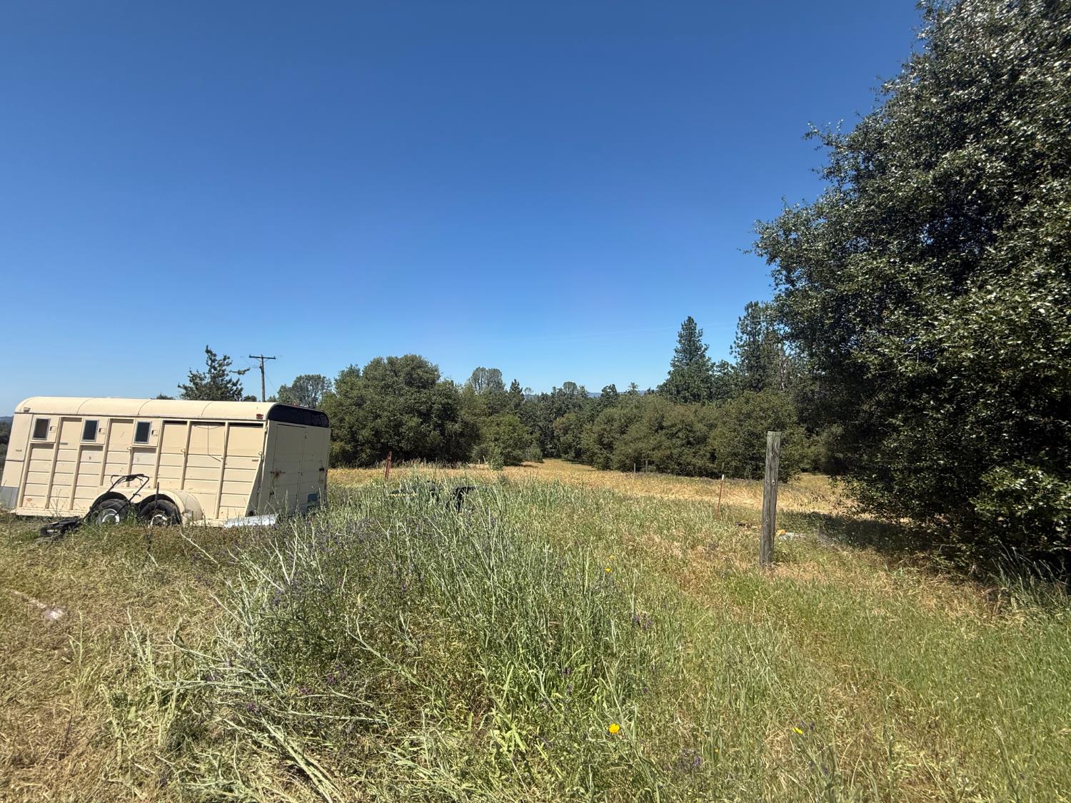 2322 Myrick Road Somerset, CA 95684 - Photo 17 of 30 a backyard of a house with lots of green space