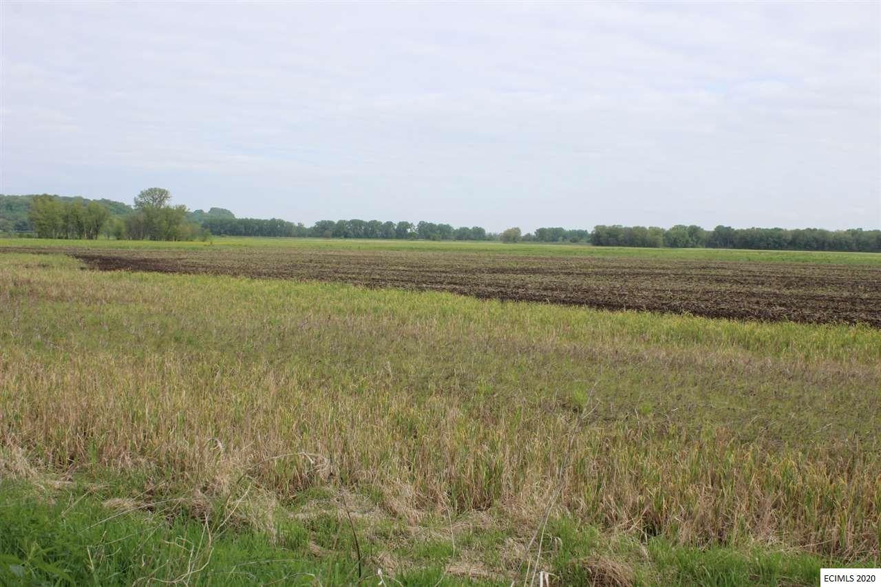 Green Island Road Miles, IA 52064 - Photo 5 of 7 Gallery Image 5
