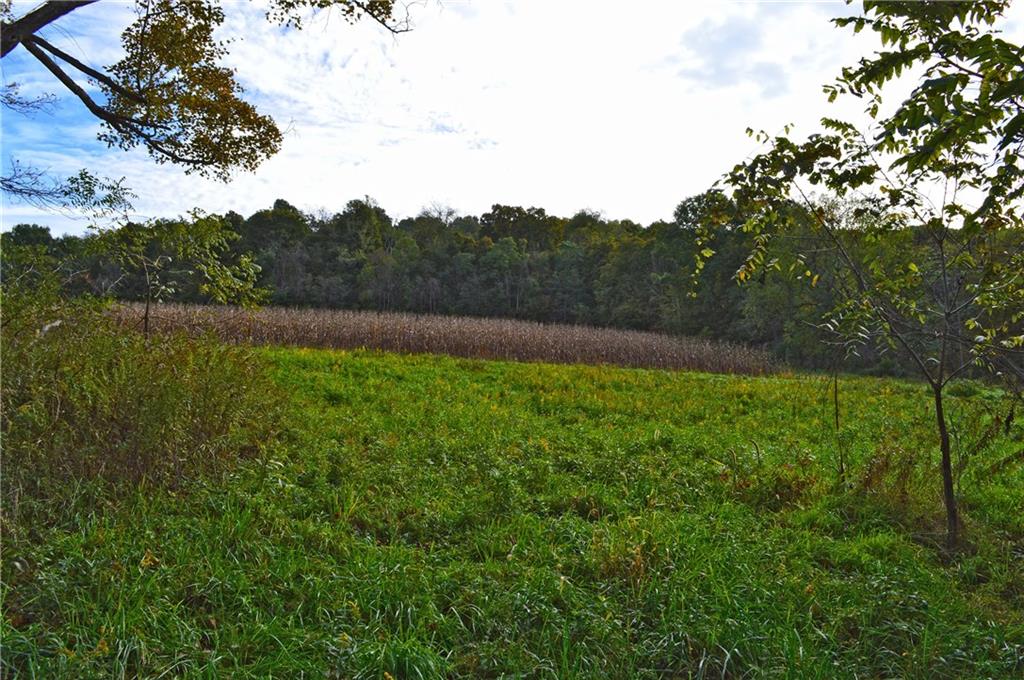 196 Buckingham Road Scenery Hill, PA 15360 - Photo 17 of 25 Beautifully Set Property with Some Cropped Pastures and Fields!