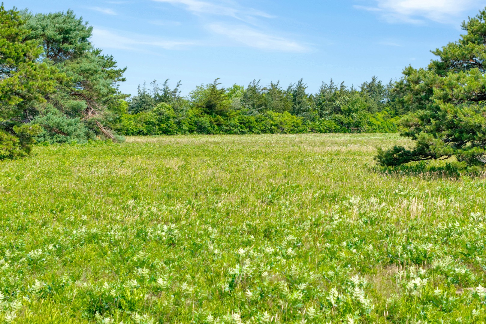30 Elias Lane West Tisbury, MA 02568 - Photo 18 of 18 The property is two separate parcels.