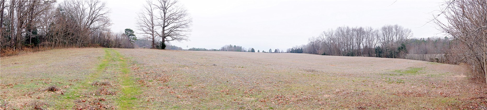 13216 Tower Road Doswell, VA 23047 - Photo 13 of 18 Gallery Image 13