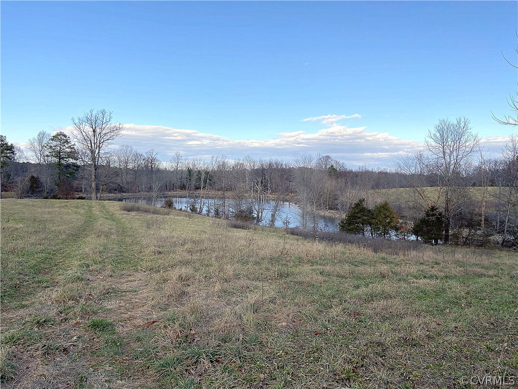 13216 Tower Road Doswell, VA 23047 - Photo 4 of 18 Gallery Image 4
