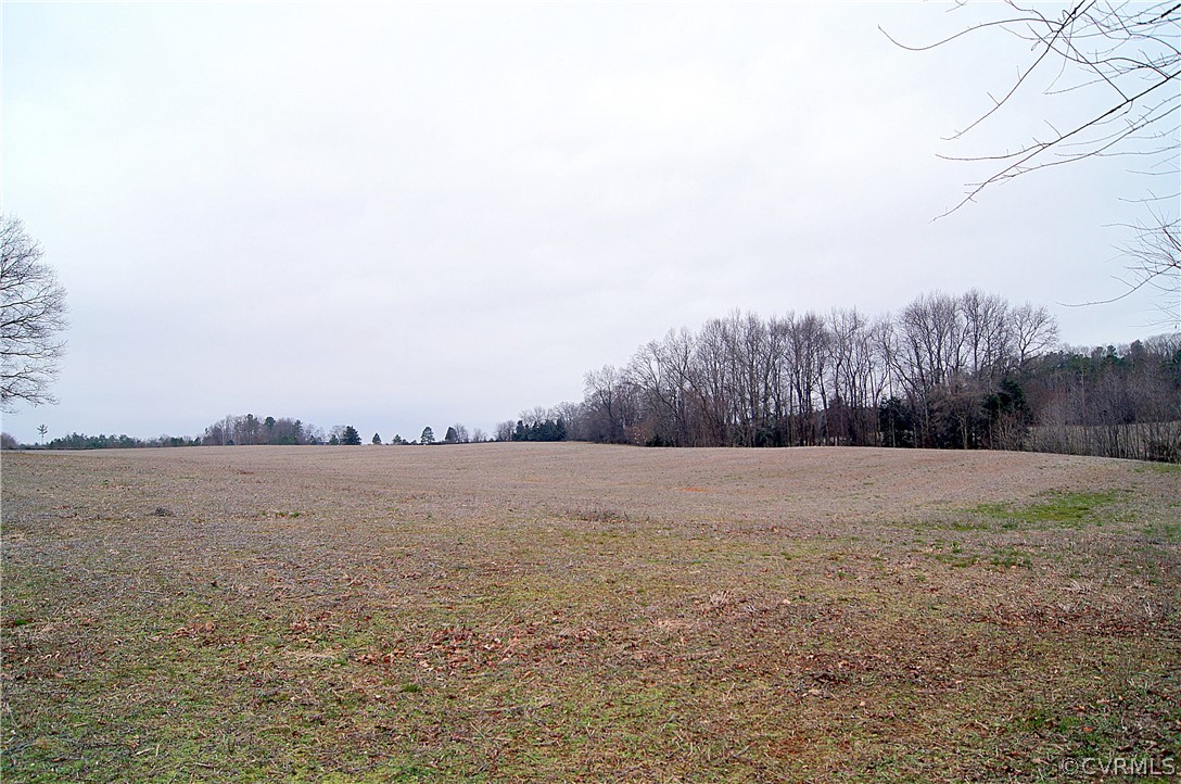 13216 Tower Road Doswell, VA 23047 - Photo 10 of 18 Gallery Image 10