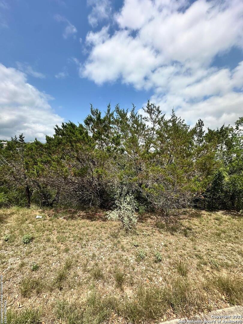 5 Trophy Ridge San Antonio, TX 78258 - Photo 2 of 4
