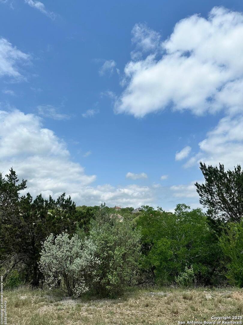 5 Trophy Ridge San Antonio, TX 78258 - Photo 4 of 4 a view of a bunch of trees in a field