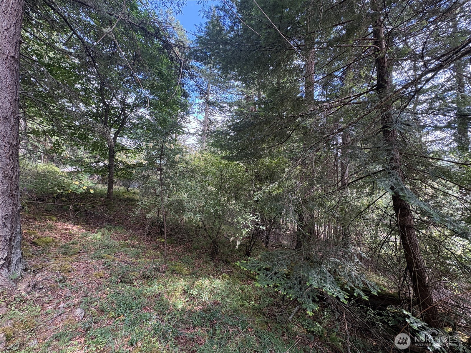 14 Rosario Road Orcas Island, WA 98245 - Photo 13 of 39