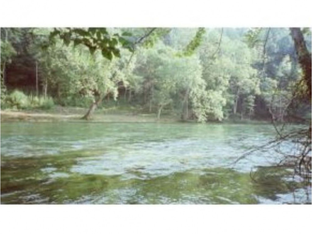 TAILWATER ESTATESON THE RIVER