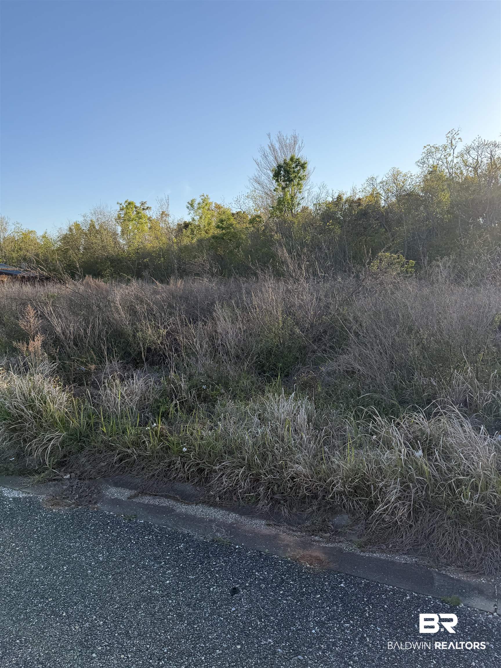 Lot 81 Troon Drive Foley, AL 36535 - Photo 2 of 2 View of undeveloped land