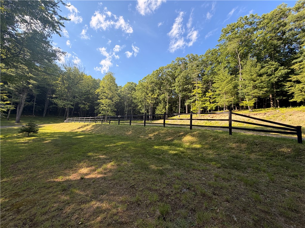 316 Seminary Road Hartwick, NY 13807 - Photo 5 of 23