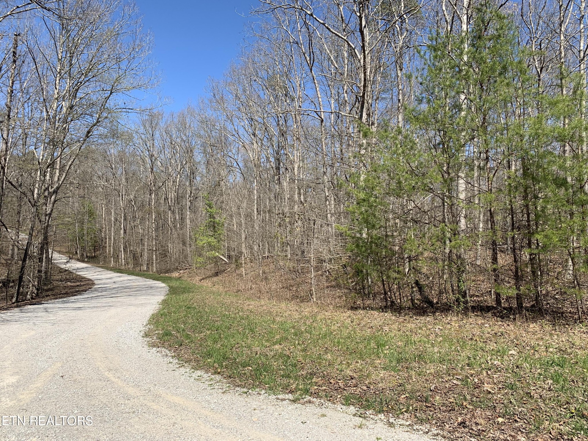 0 Old Ridge Road Kingston, TN 37763 - Photo 2 of 9 Gallery Image 2