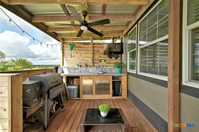 a yard with lots of tress in it