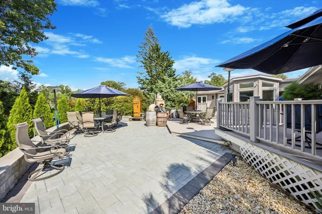 a view of field with tall trees