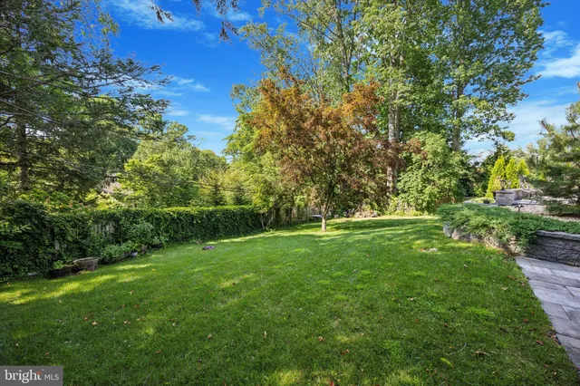 a view of a garden with a bench